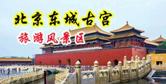 在线操B视频网站中国北京-东城古宫旅游风景区